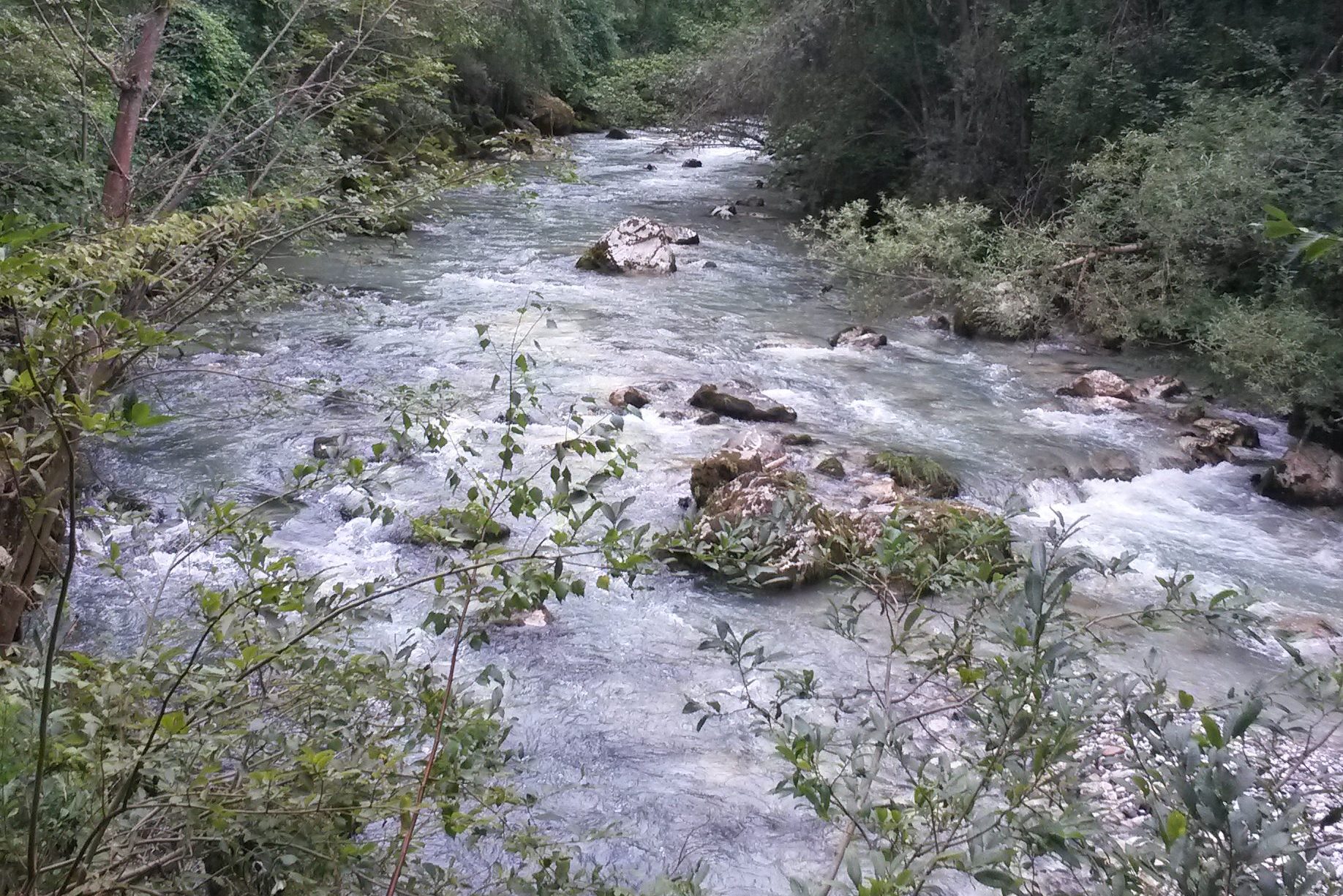 Vellach Fluss am Weg nach Eisenkappel Vellach Fluss am Weg nach Eisenkappel