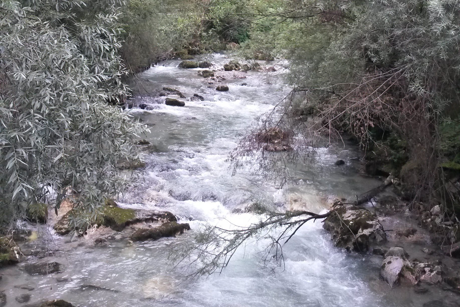 Vellach Fluss am Weg nach Eisenkappel Vellach Fluss am Weg nach Eisenkappel